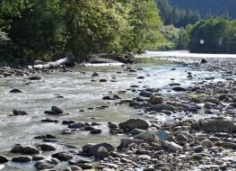 010 - eine ruhige stelle